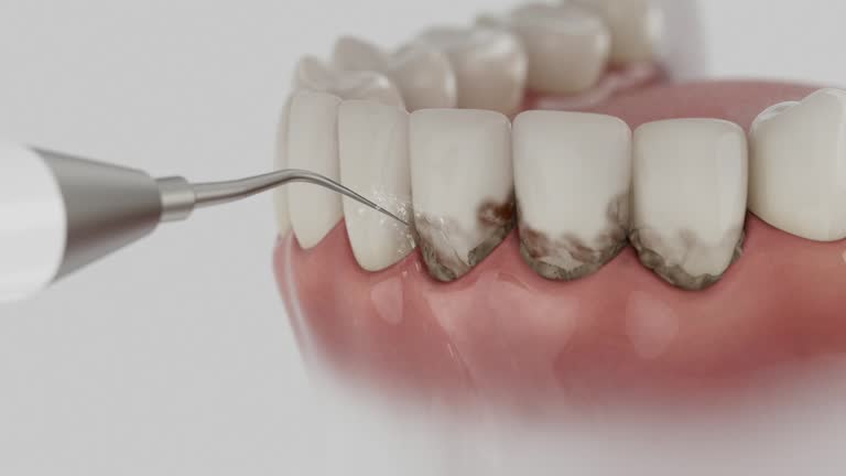 Reliable Dental contractor in Baraga, MI by Dentist Open Now